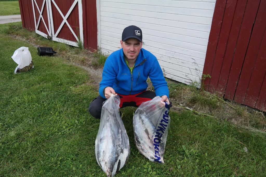 Holmset Camping And Fishing Namdalseid Екстериор снимка