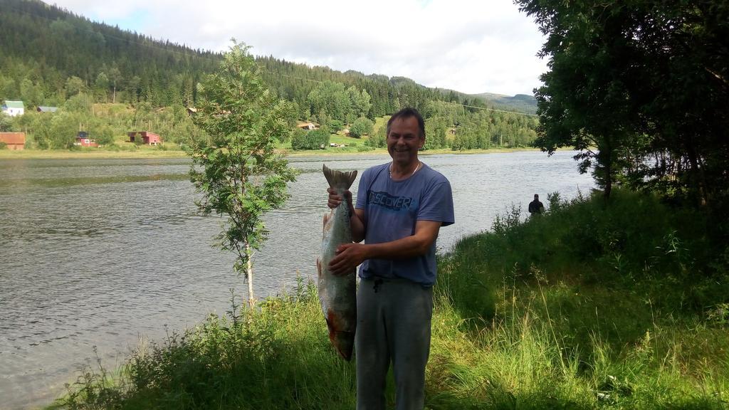 Holmset Camping And Fishing Namdalseid Екстериор снимка